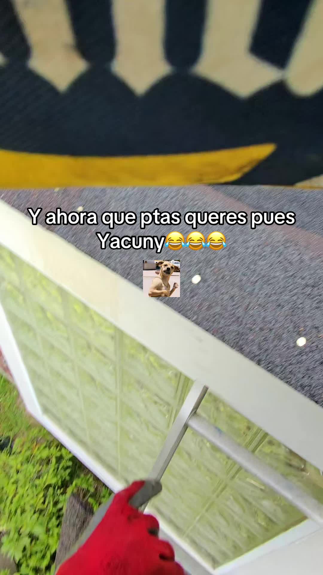 @Manuel De La O