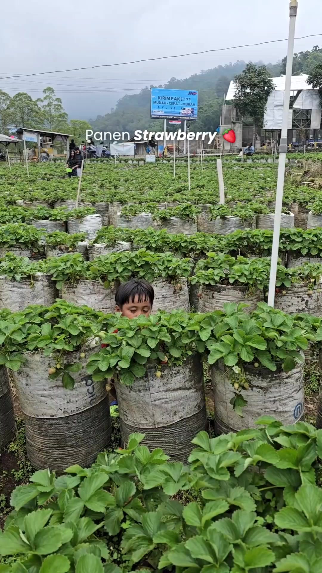 @karimahsalasari