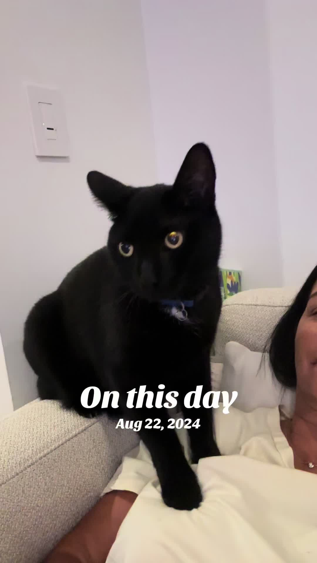 @Oscar Jeremy the cat!