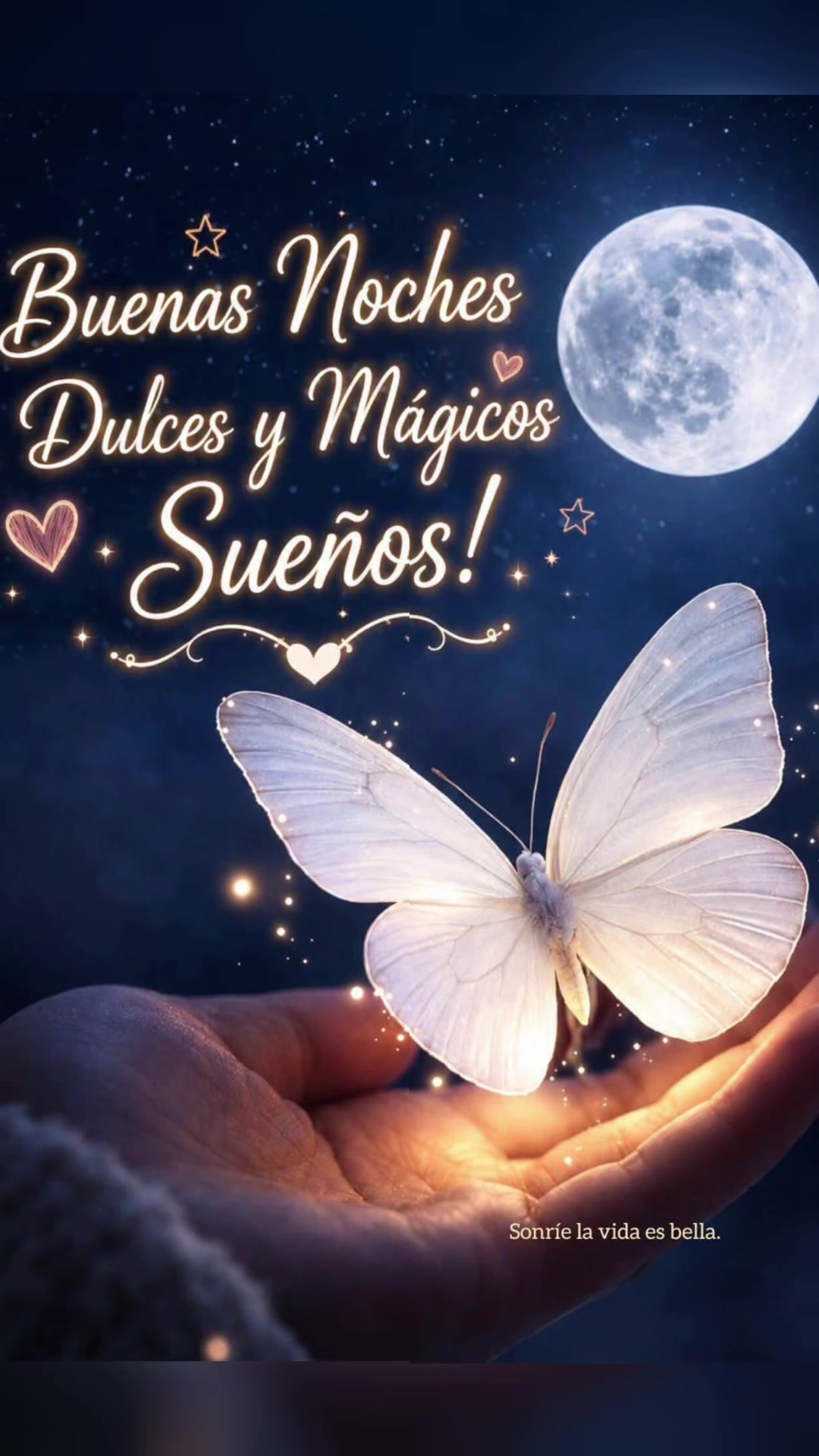 @elvirasvg