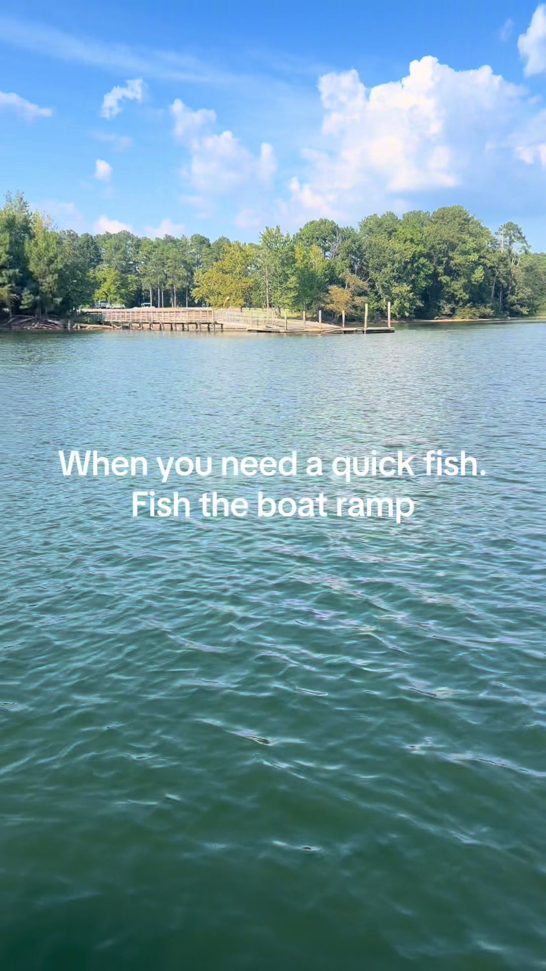 @STUCKINTHETREEFISHING