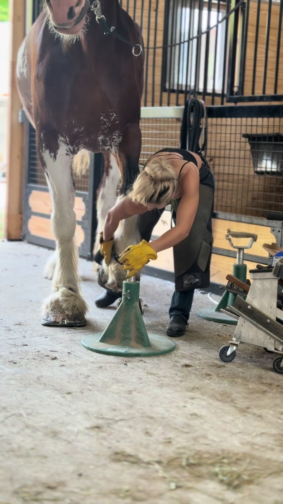 @Itsamandalee