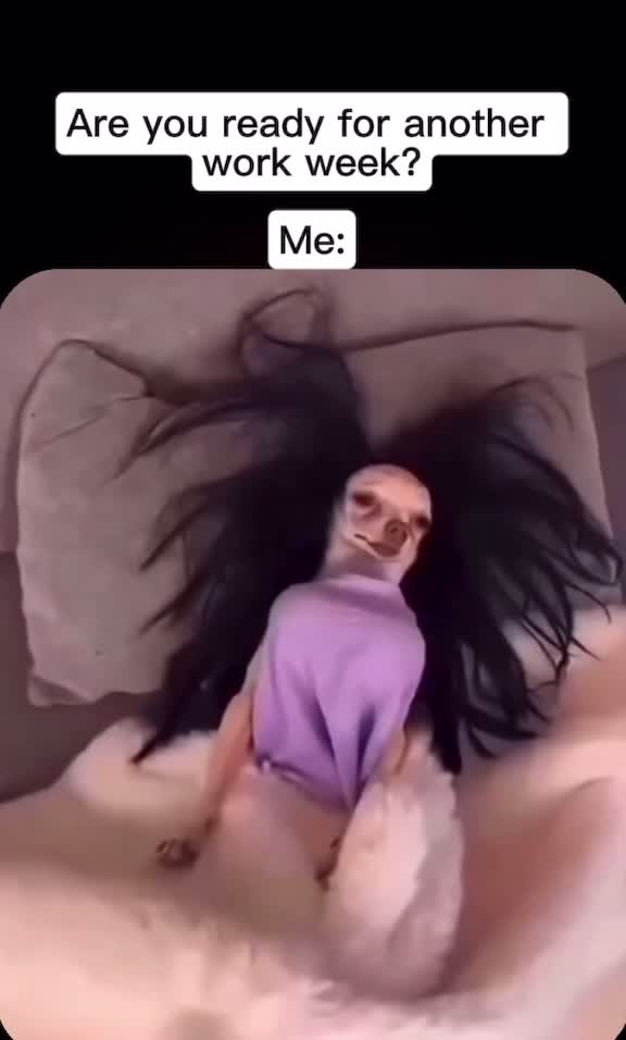 @VociDiOlive