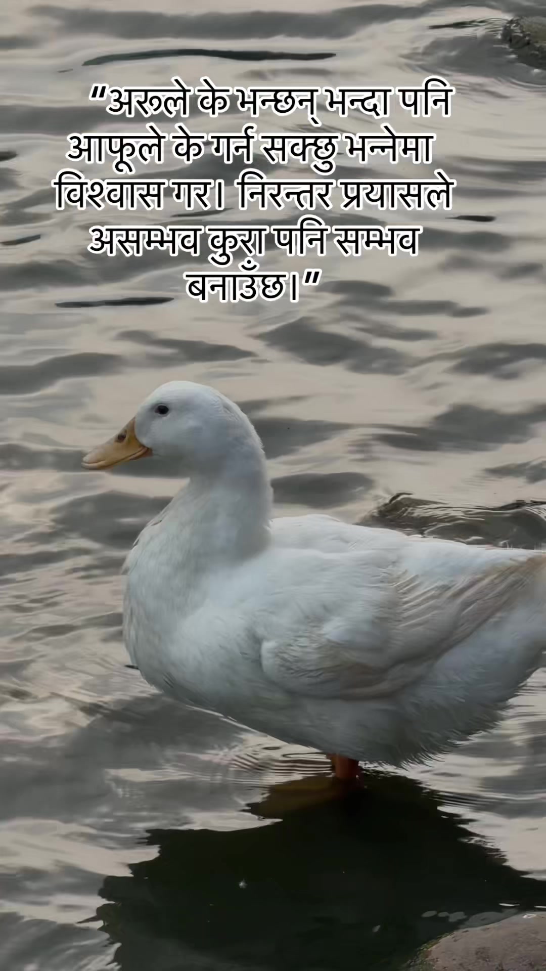 @Singhbamtanuja