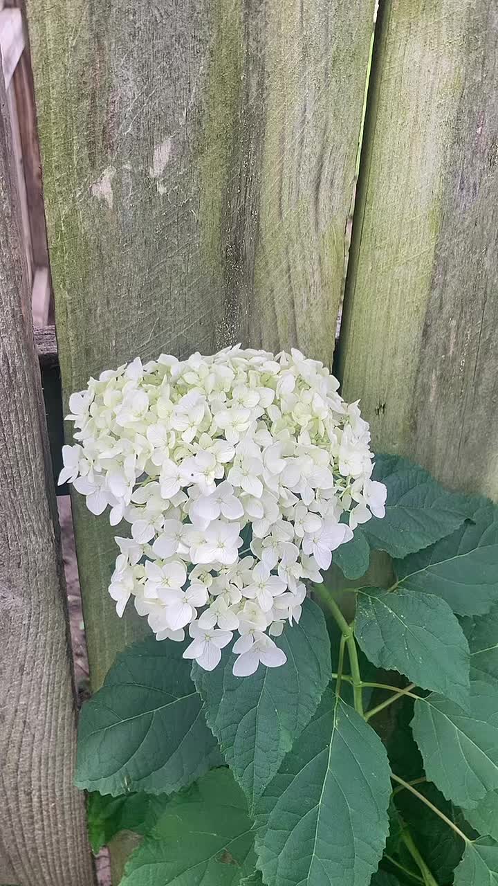 @mairacruz.11