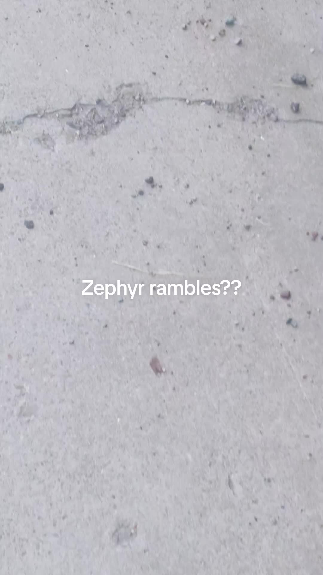 @Zephyr