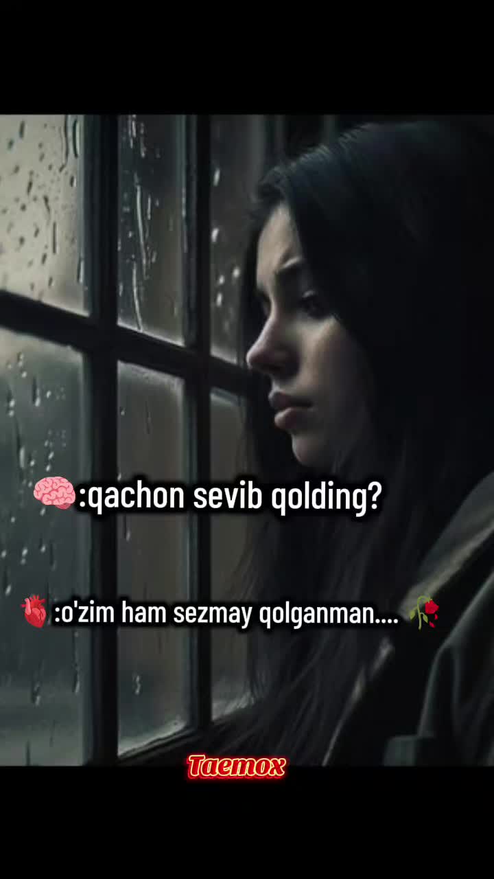 @таемох.кореа