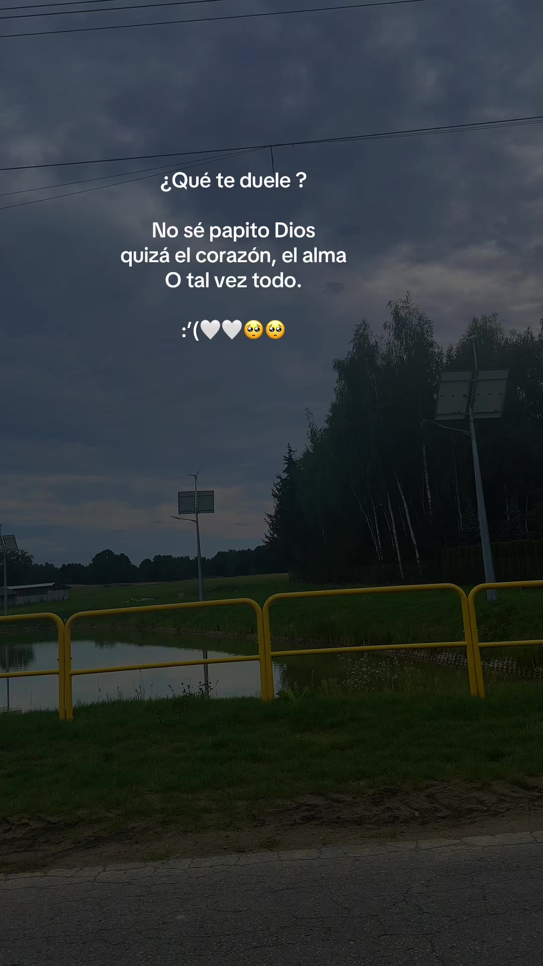 @lufer❣️🇨🇴🇵🇱❤️&zwj;🩹❤️🤍