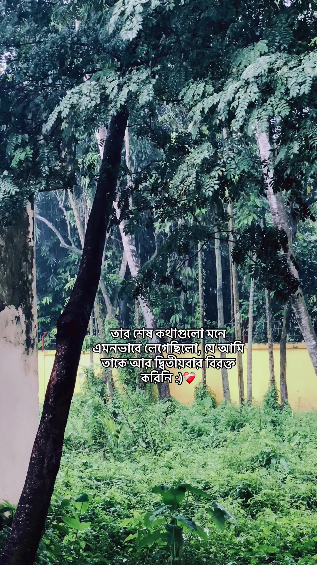 @_নিখোঁজ_