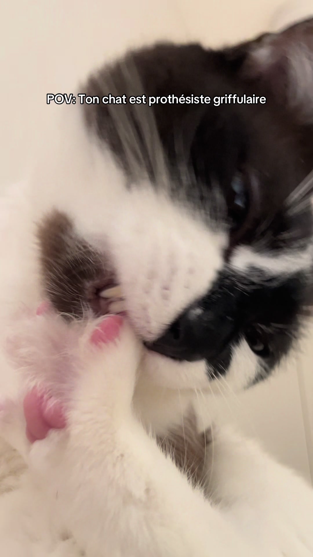@𝐉𝐮𝐬𝐭𝐢𝐧𝐞