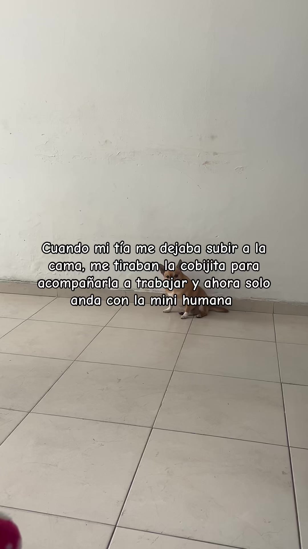 @Ximena C. 🤍