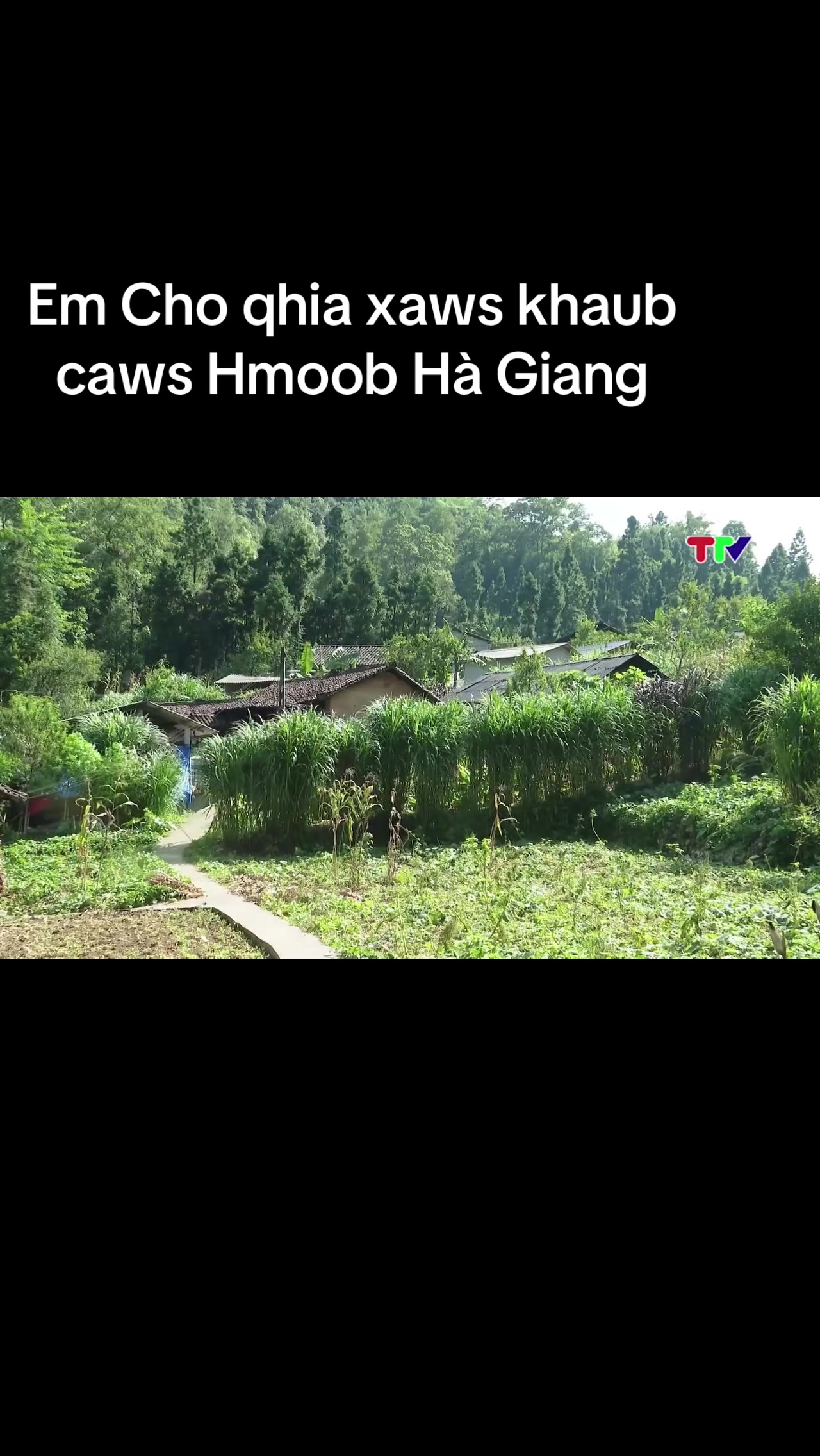 @Em Cho