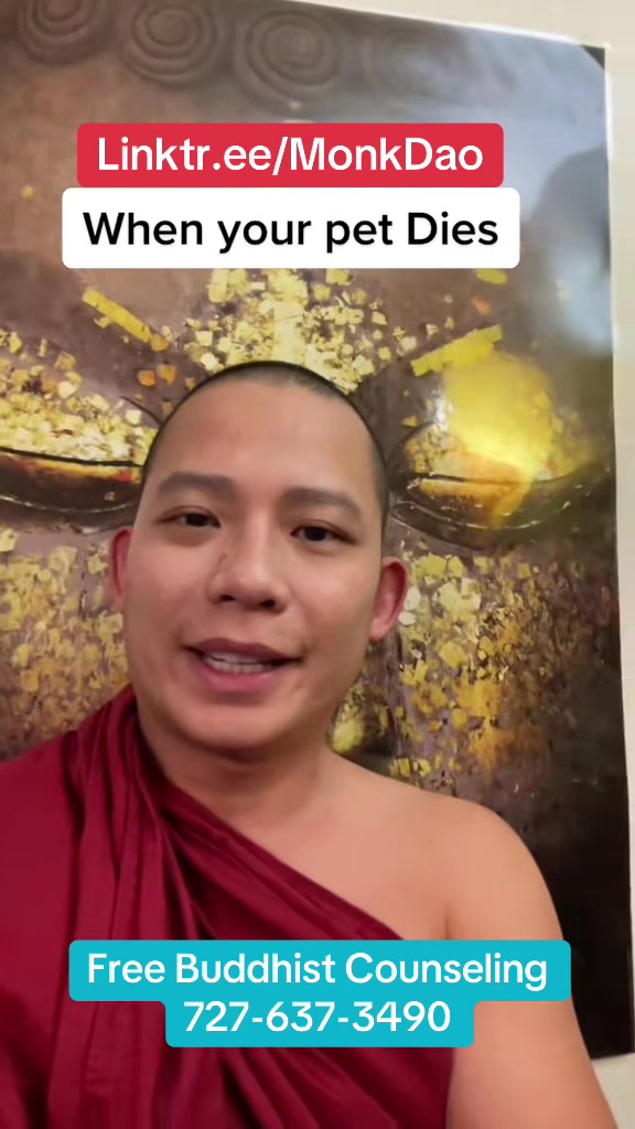 @Ajahn DAO