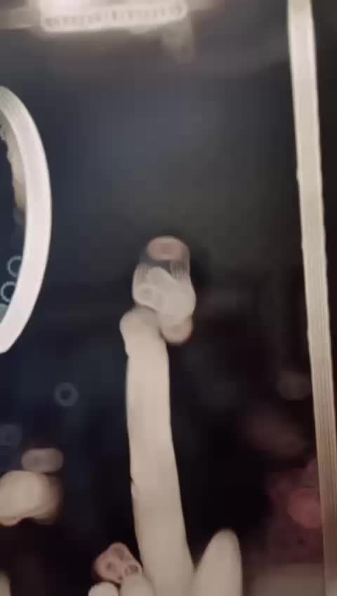 @:)