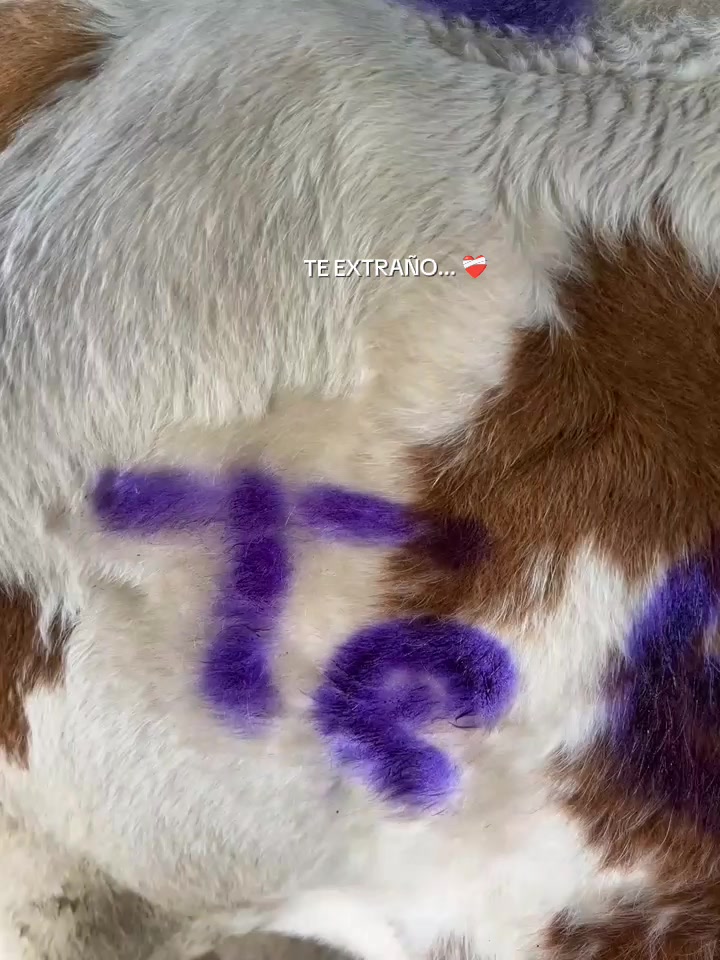 @😉