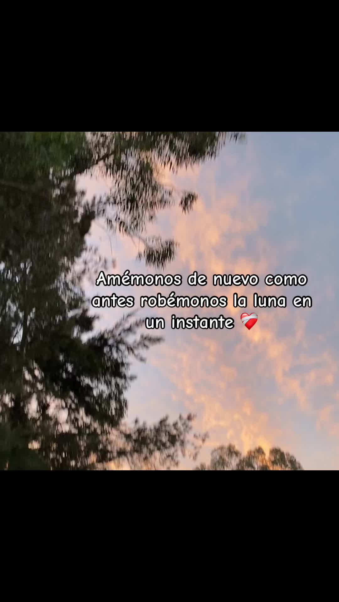@🖤
