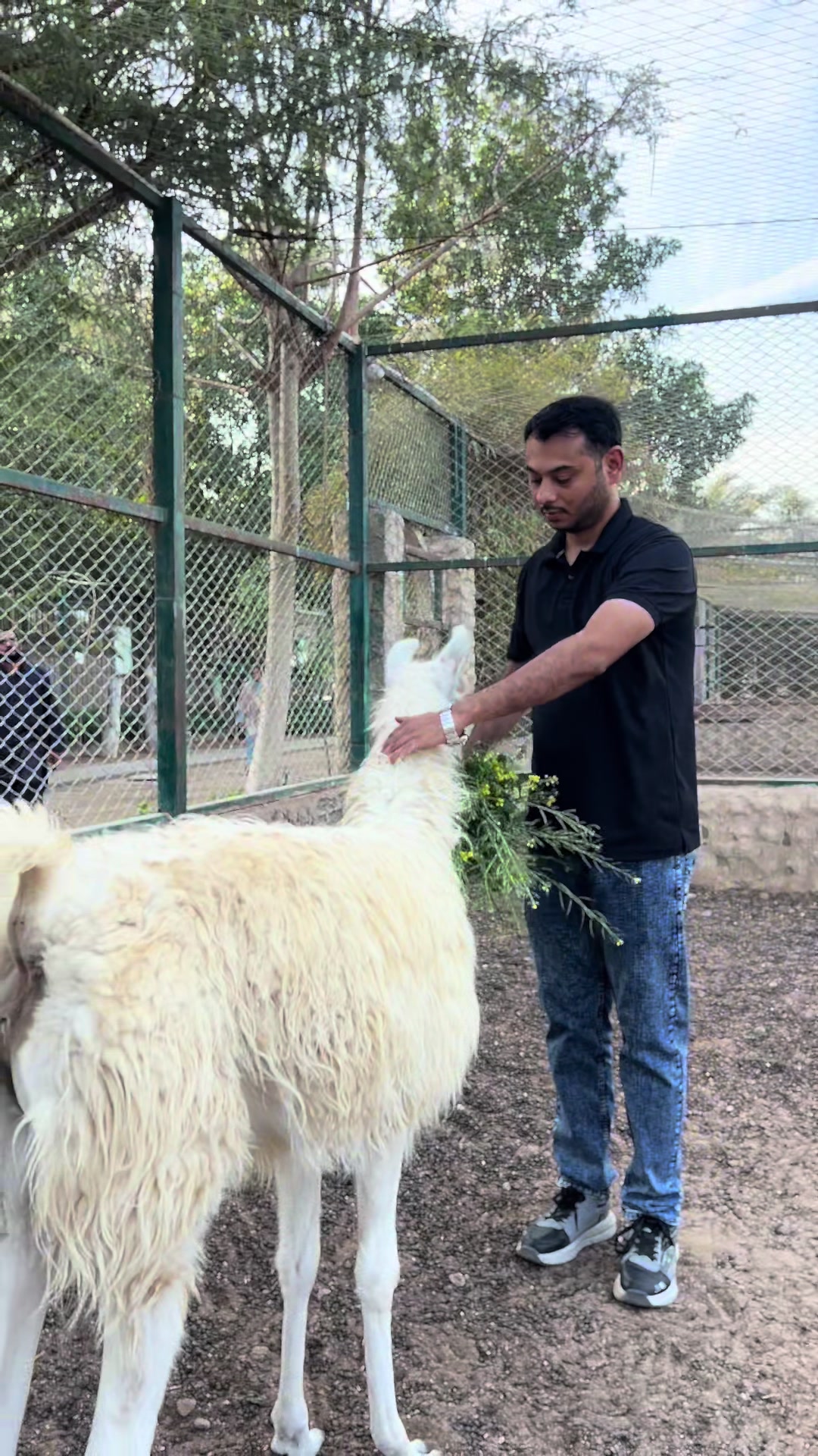 @jimmy_junaid_zoologist