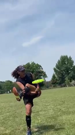 @Guardian of the Disc