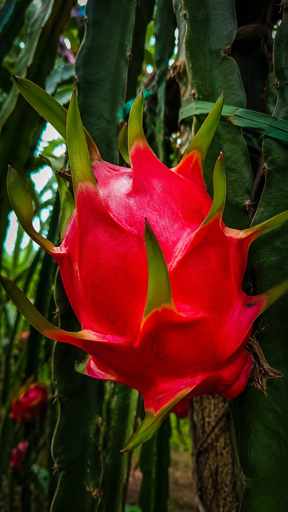 @𝑻𝒂̂𝒏 𝑻𝒉𝒊