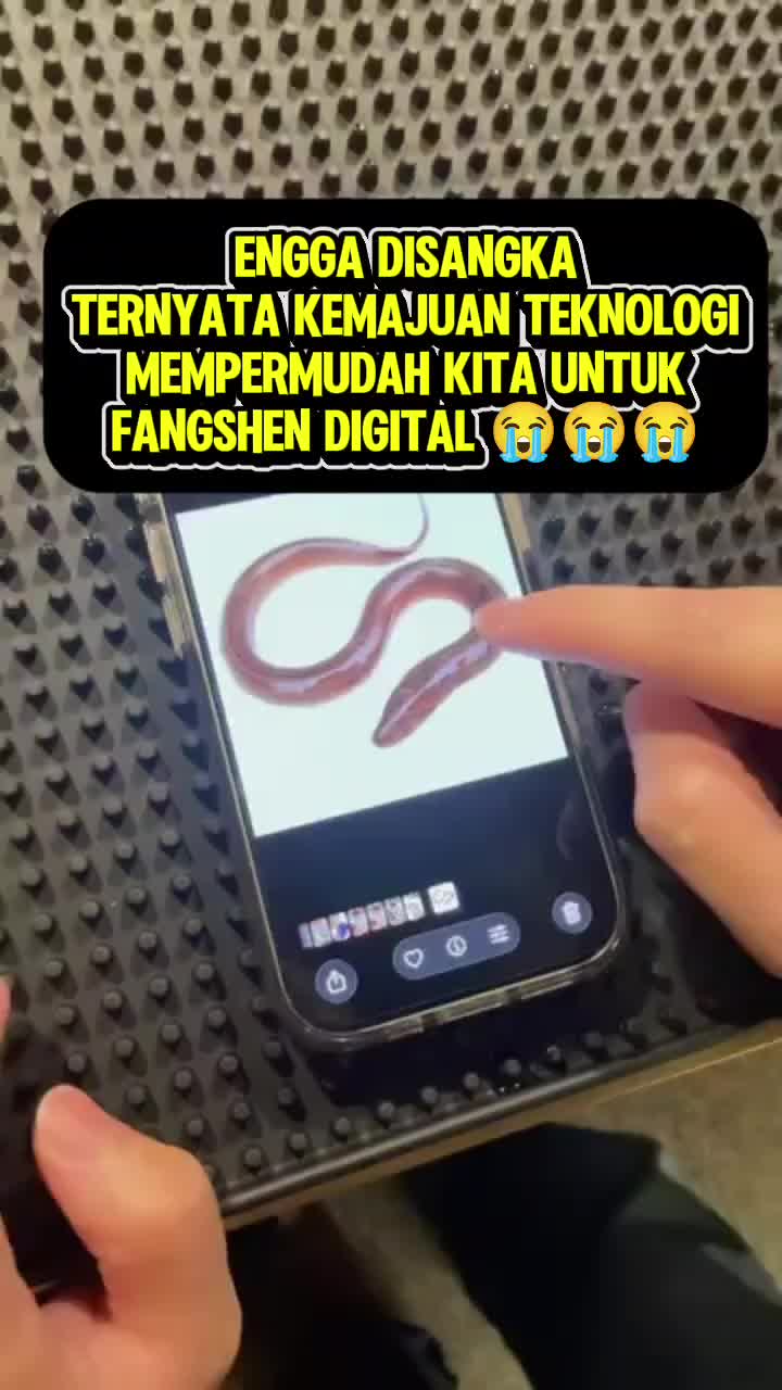@Hongamuletindo