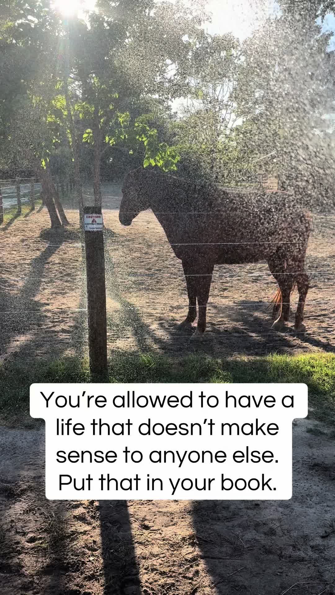 @itiswellstables