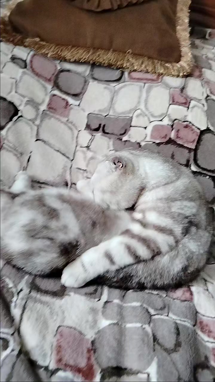 @Галерея аромата 🕯️💐
