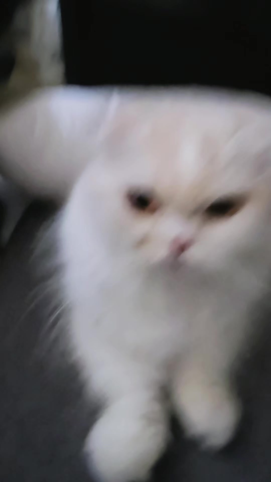 @๐๋ง๋ฆฐ๋ธ๋ฃจJ