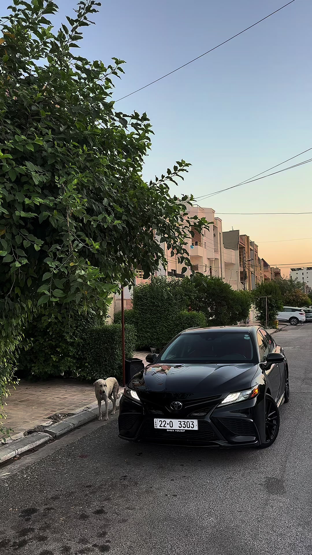 @Yousif camry 🏴
