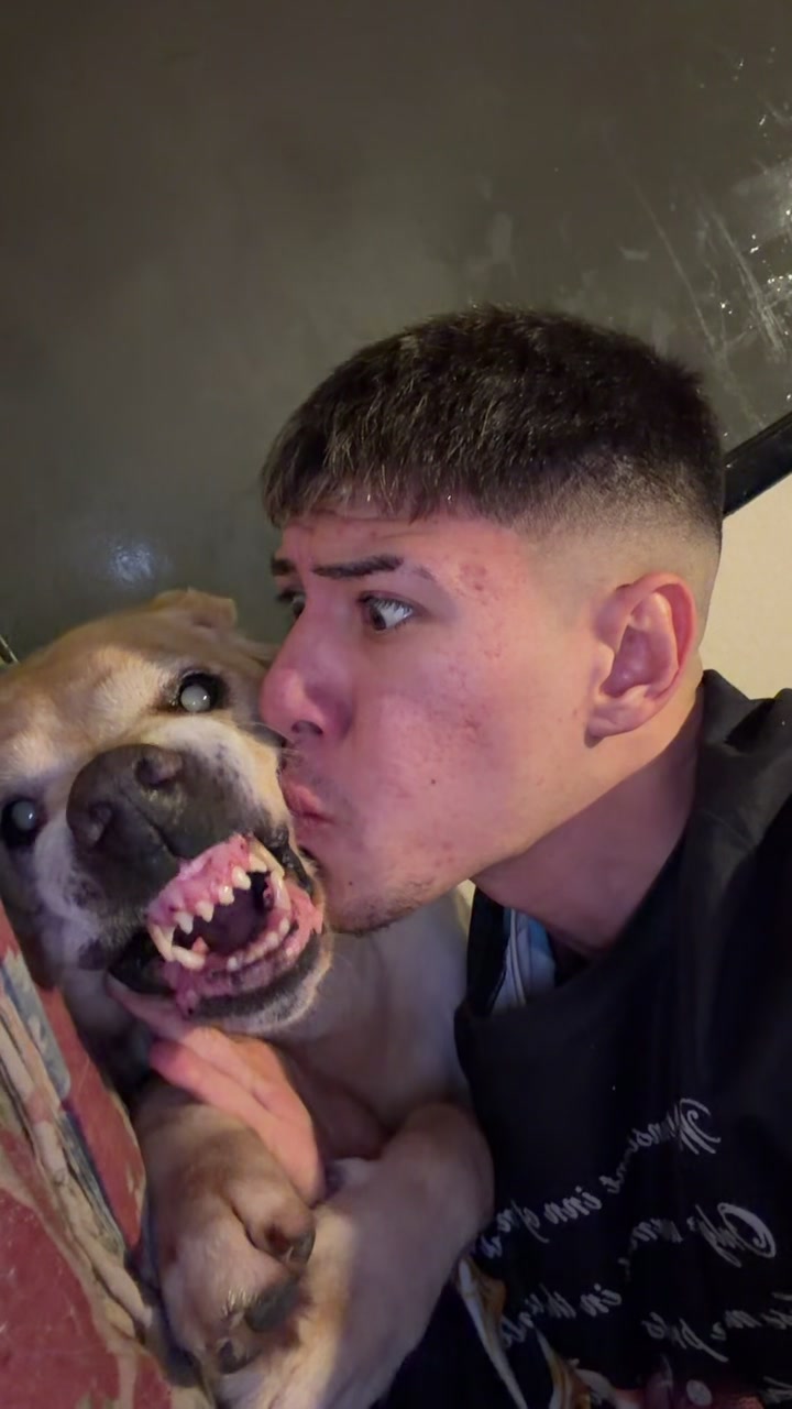 @RABIOSOO 🐶