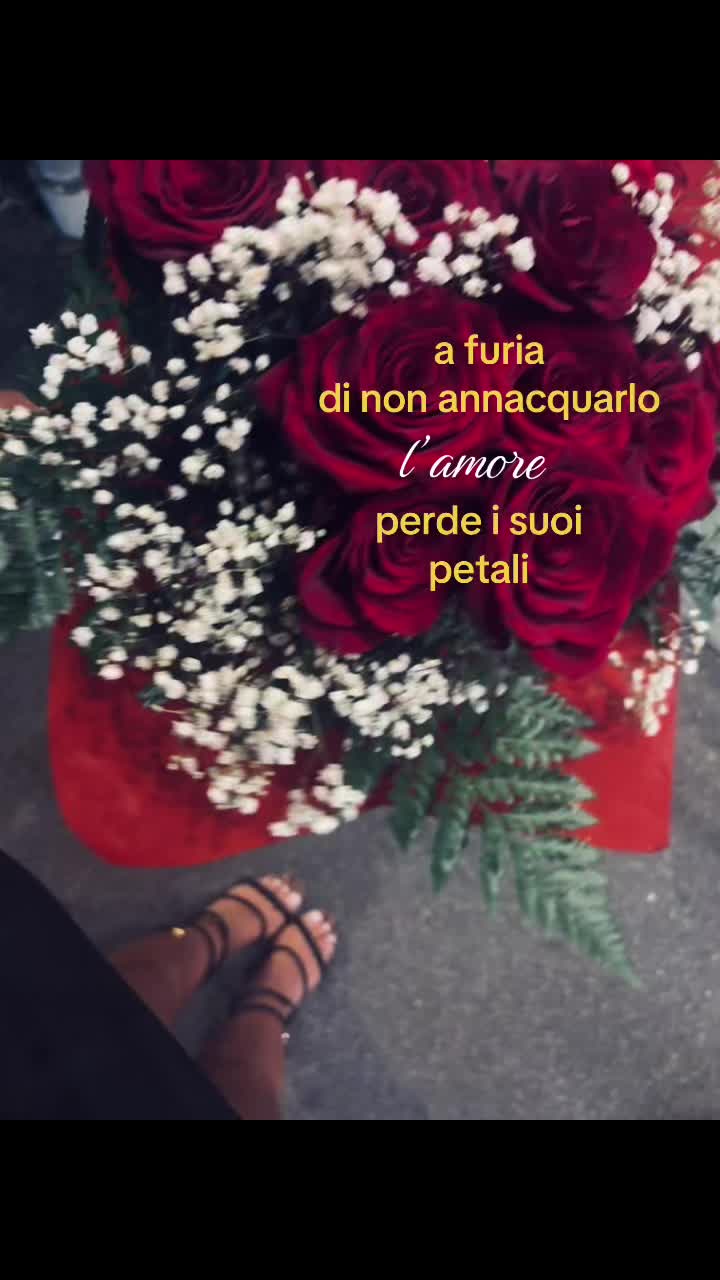 @𝟓𝟓𝟓🌟