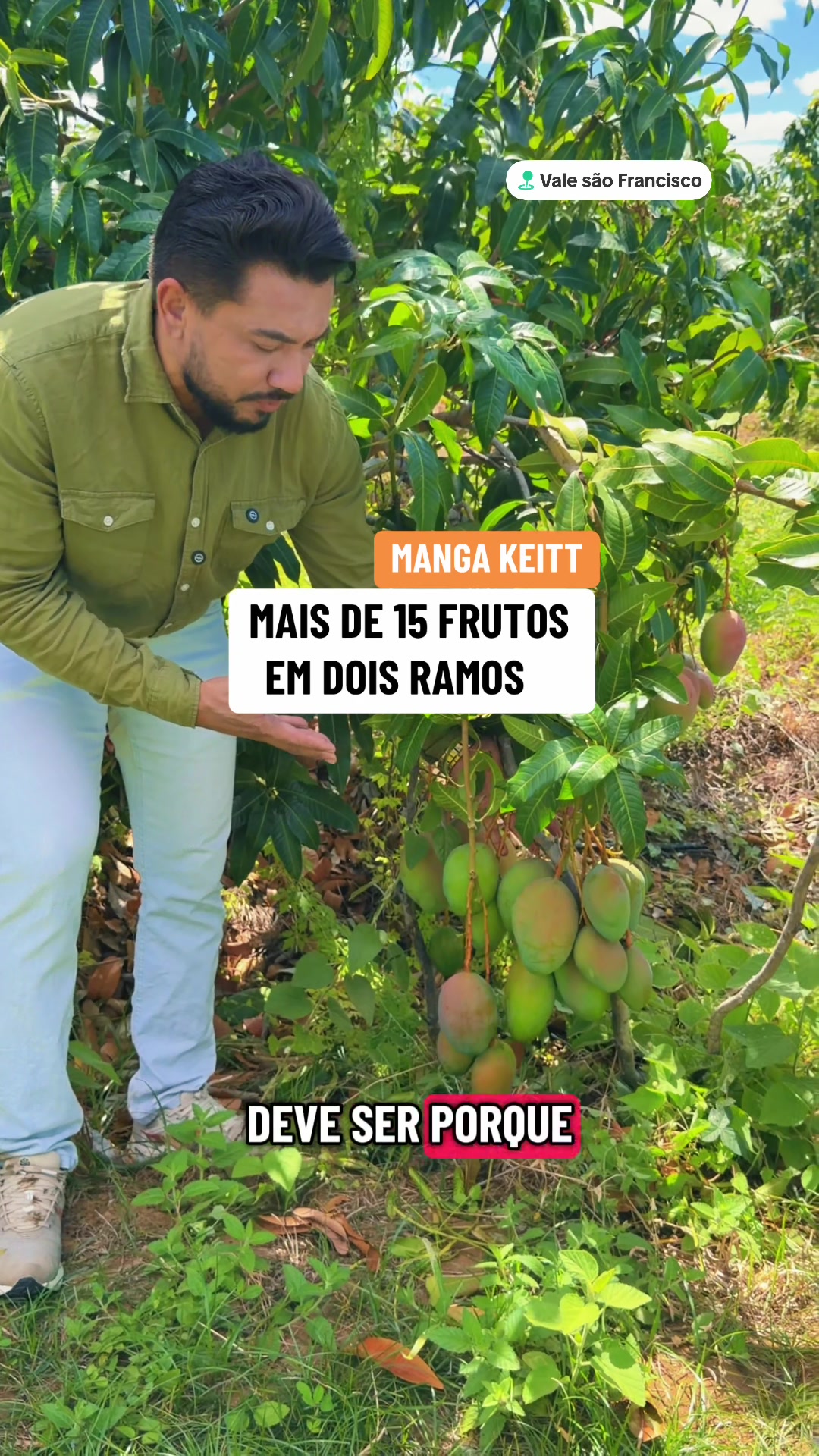 @flavio12inoveagro_oficial