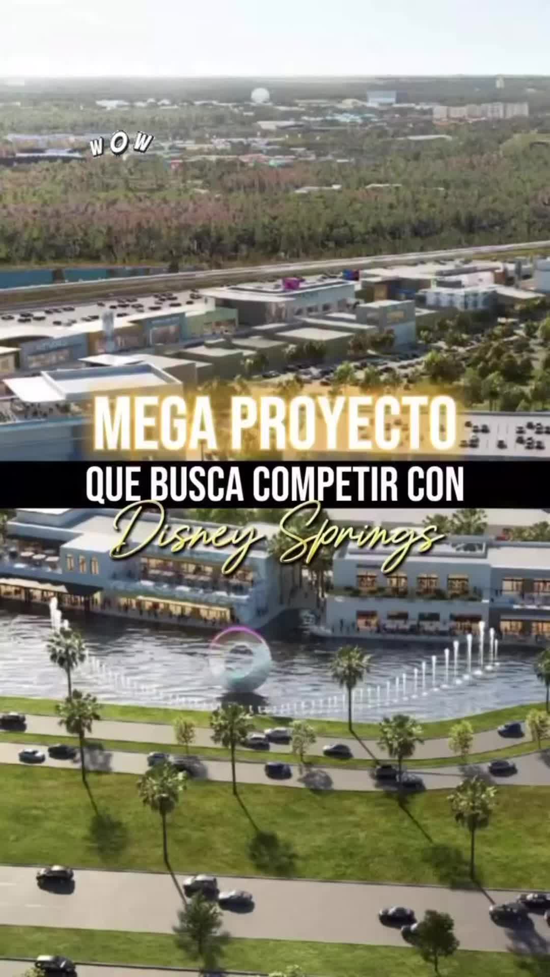 @Realtor Felícita