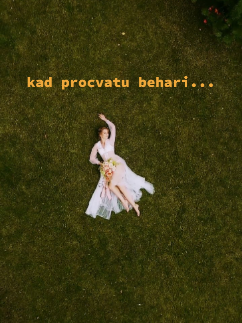 @Nikolai Makarov&trade;