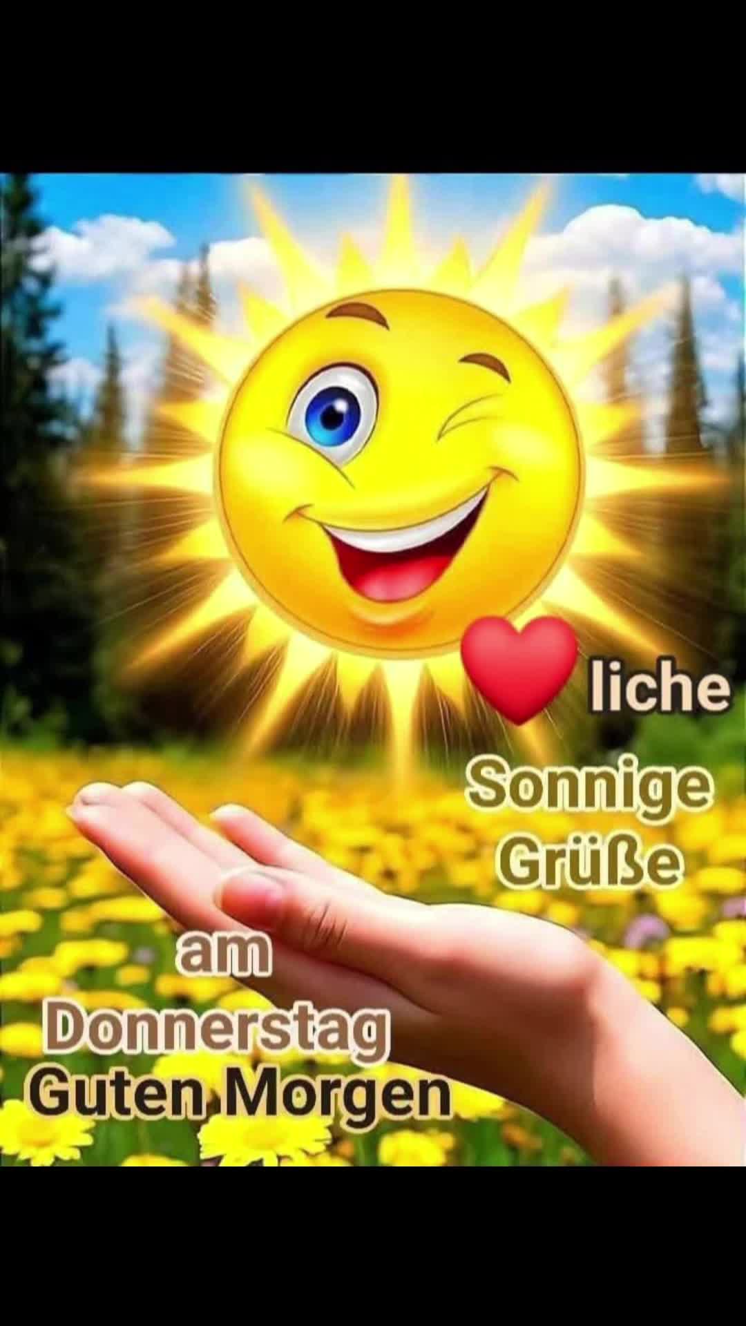 @dagmarschoondy