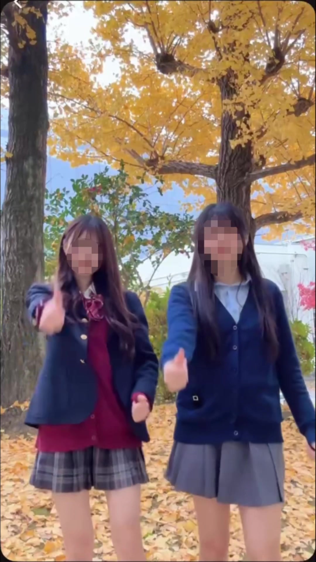 @しゅがふり