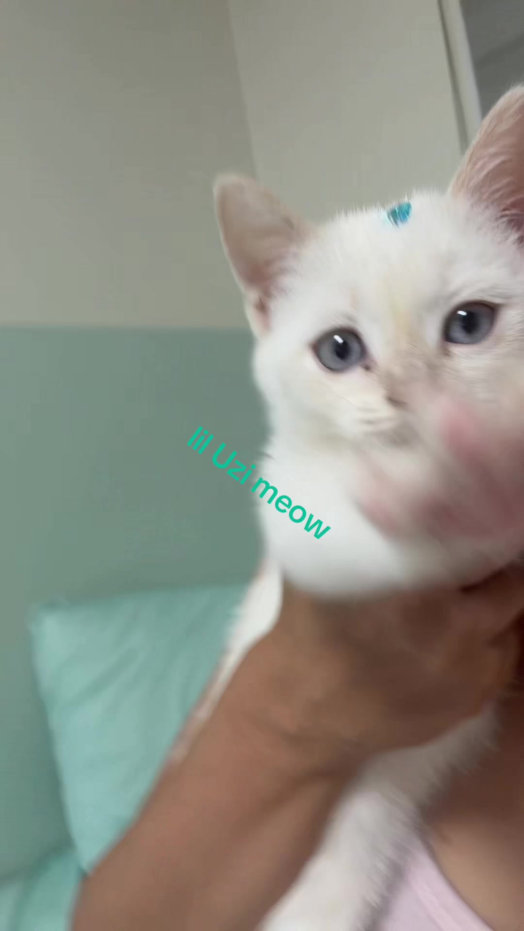 @kamillalol
