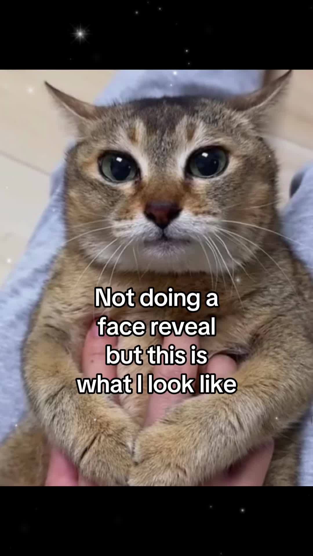 @V