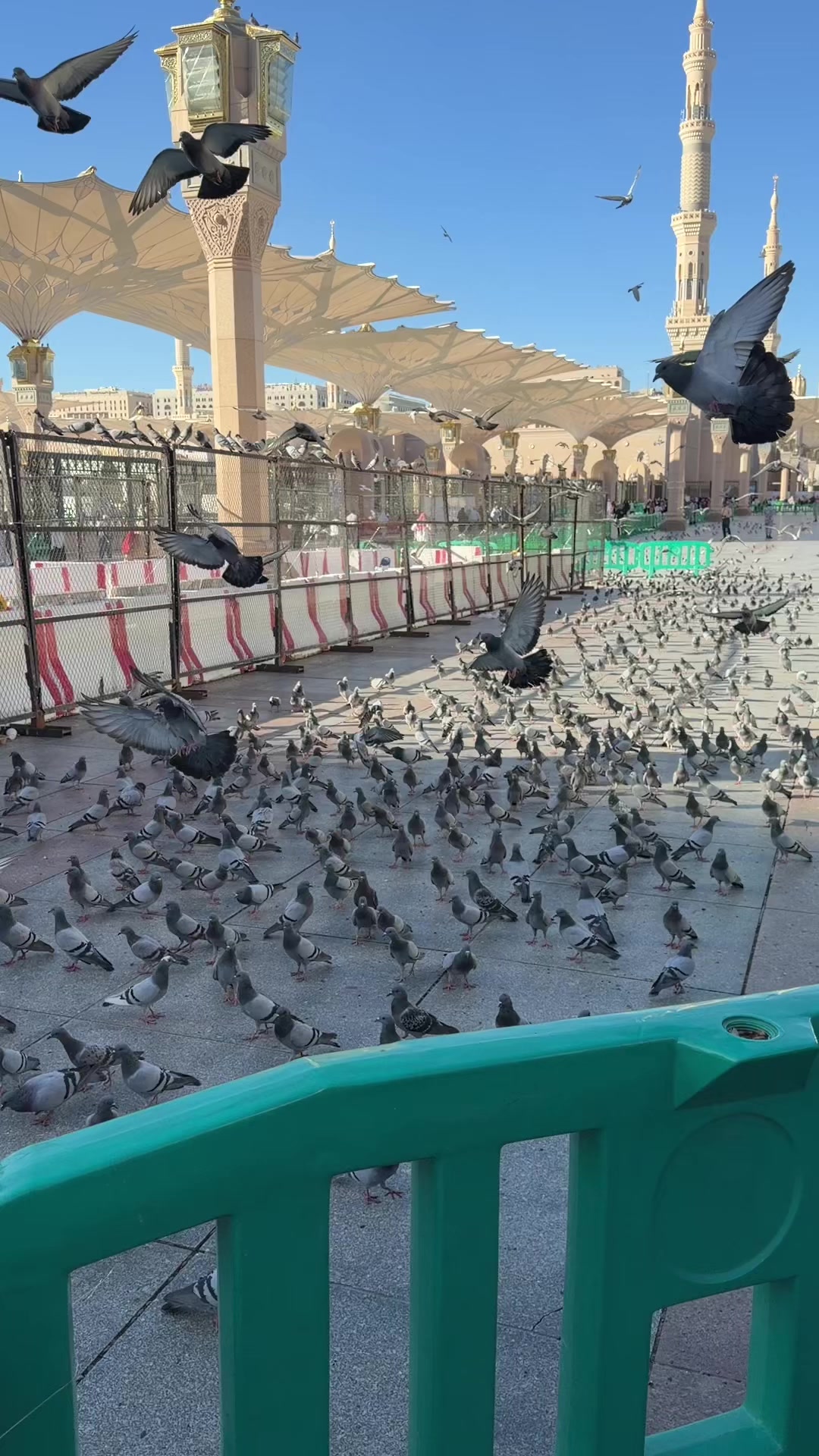 @عباس افریدی🏏