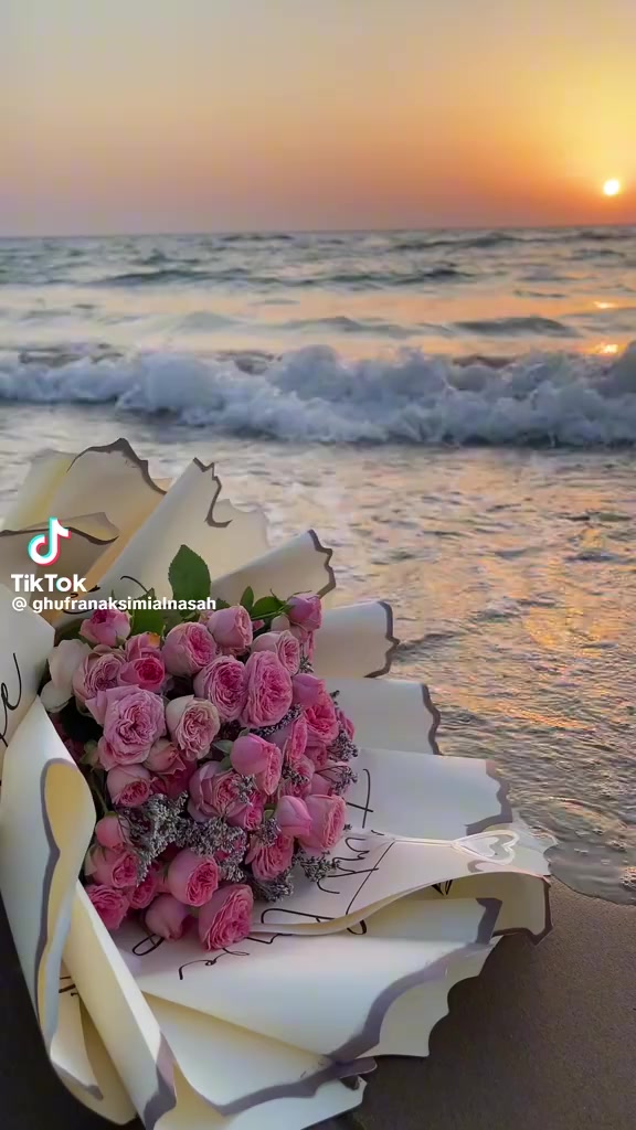 @Jana Nazer
