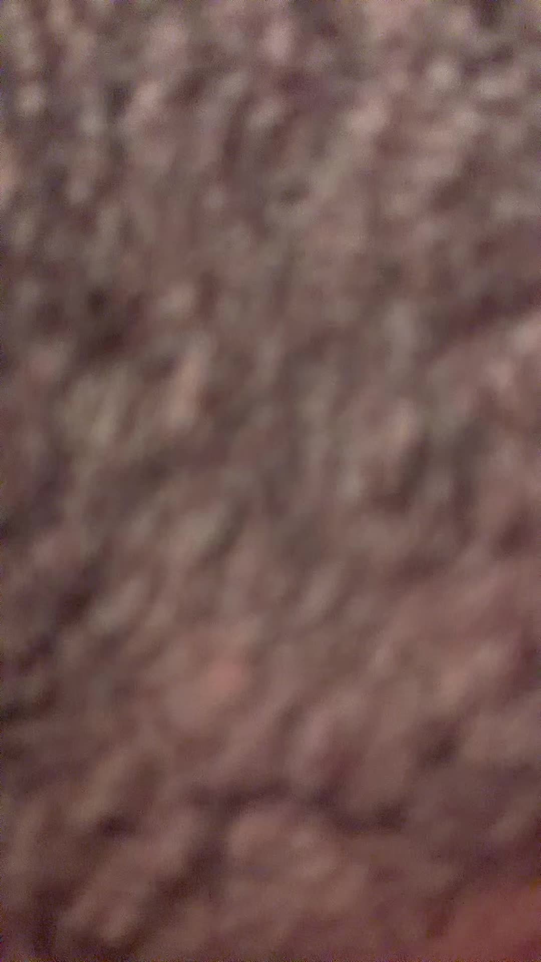 @max_kp_1703
