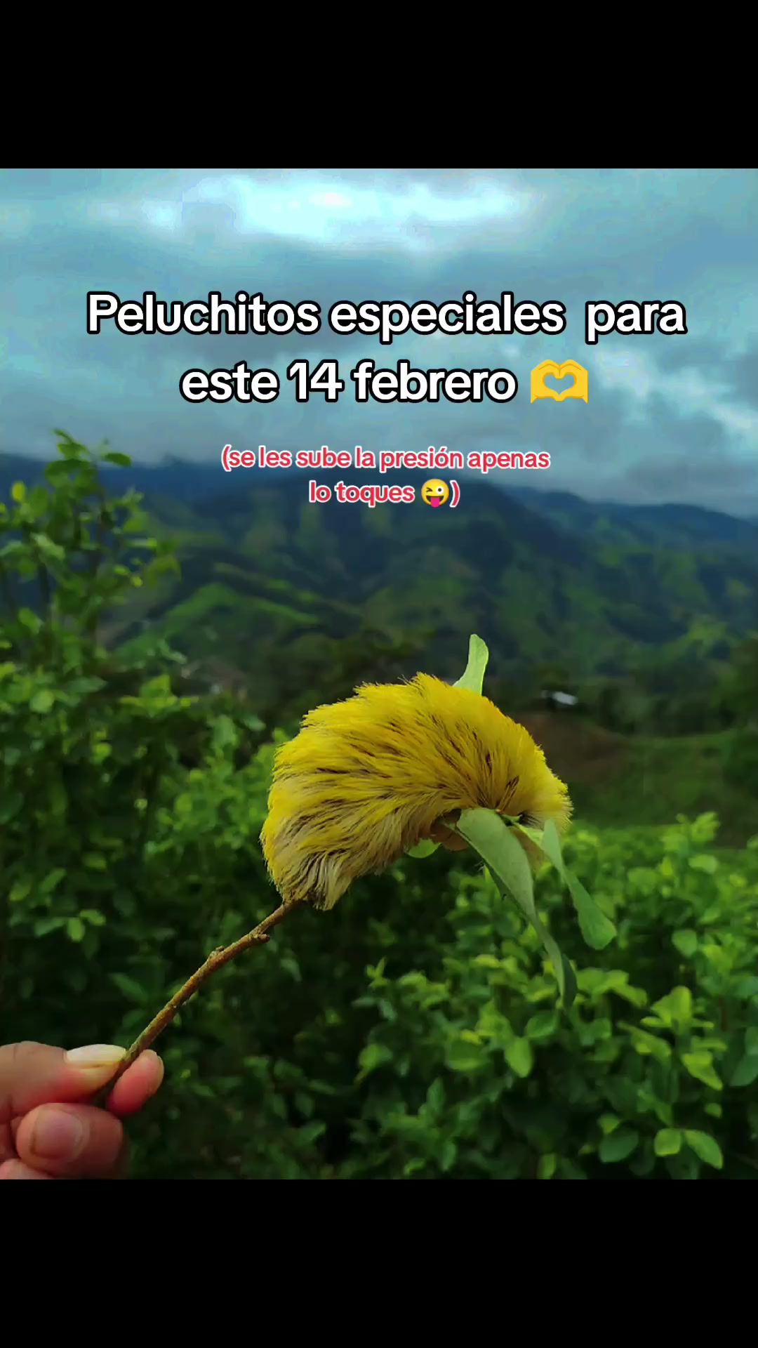 @yuleidy_🎧