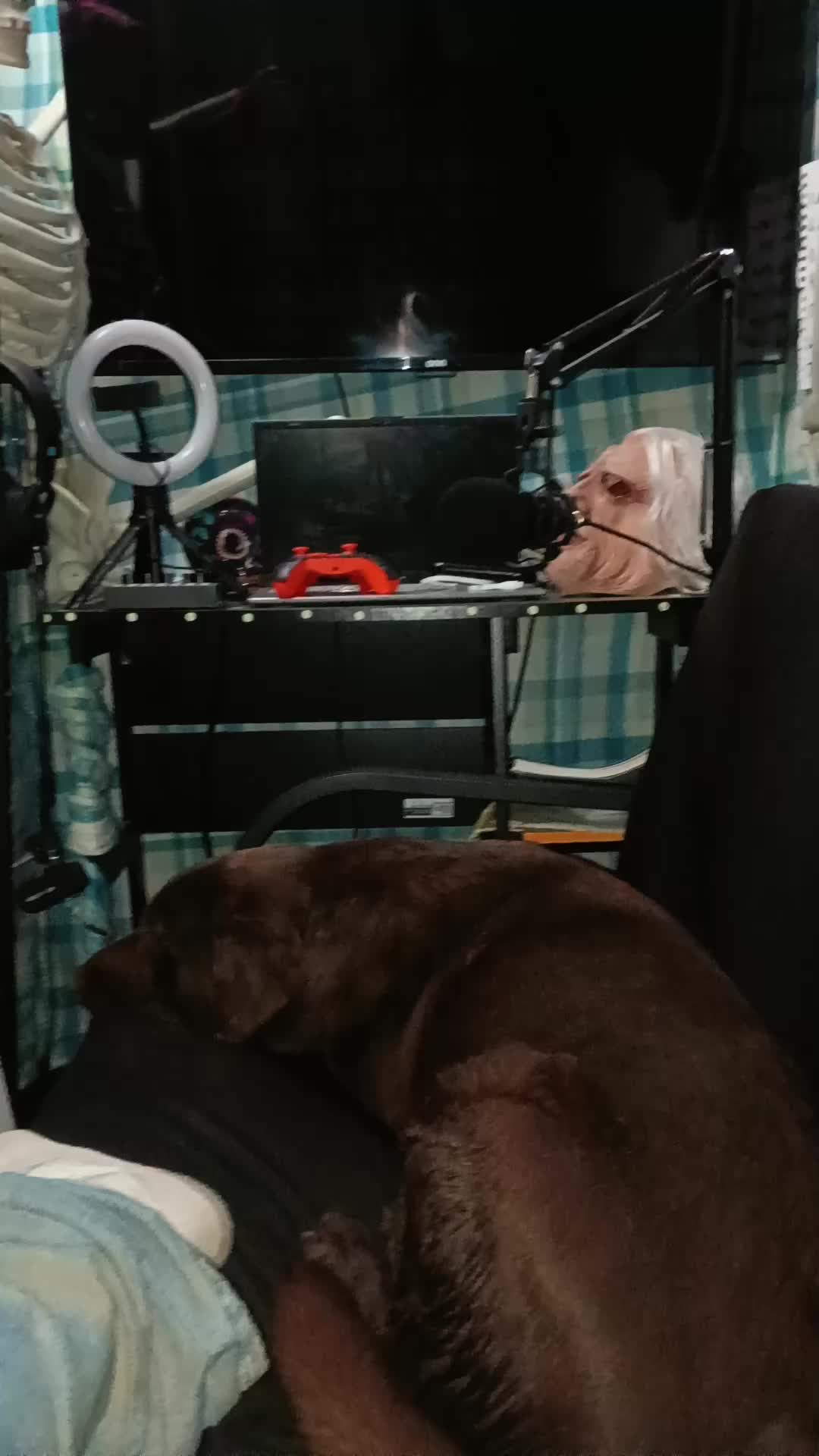@TheSingleDadChamp