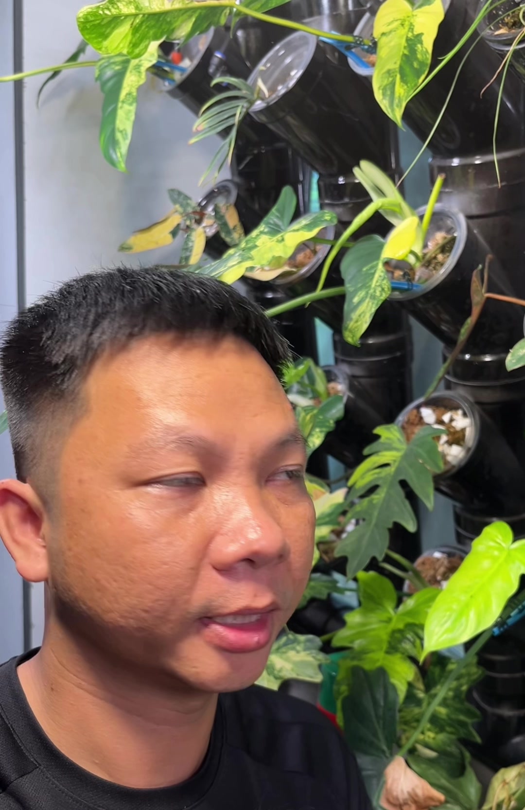 @Huy Kiểng Lá