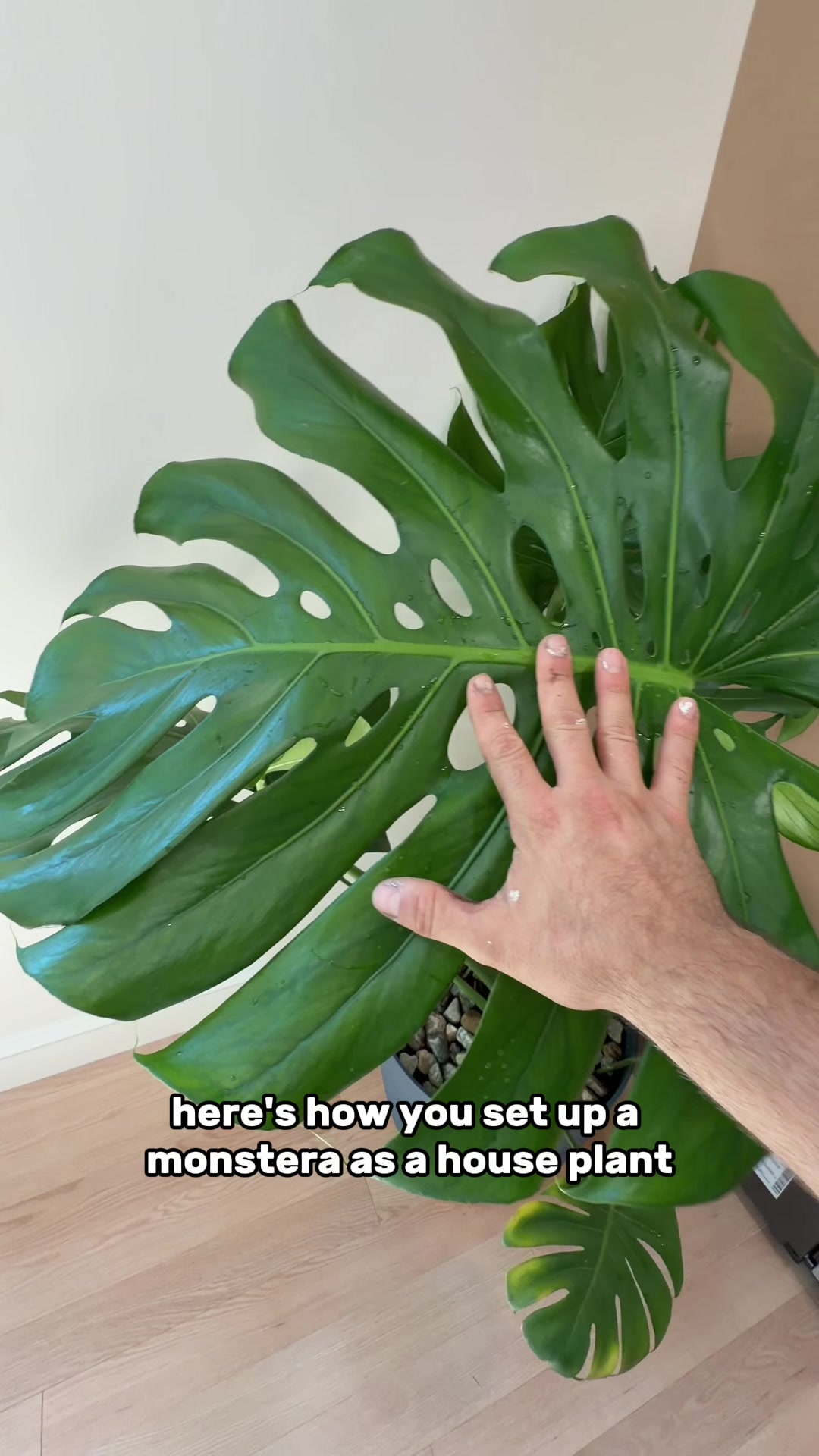 @The Goldfish Guy