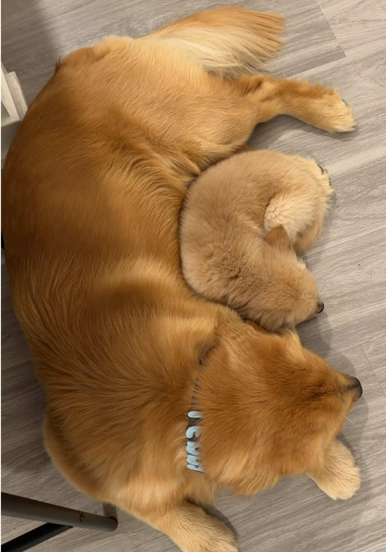 @Teddy🧸
