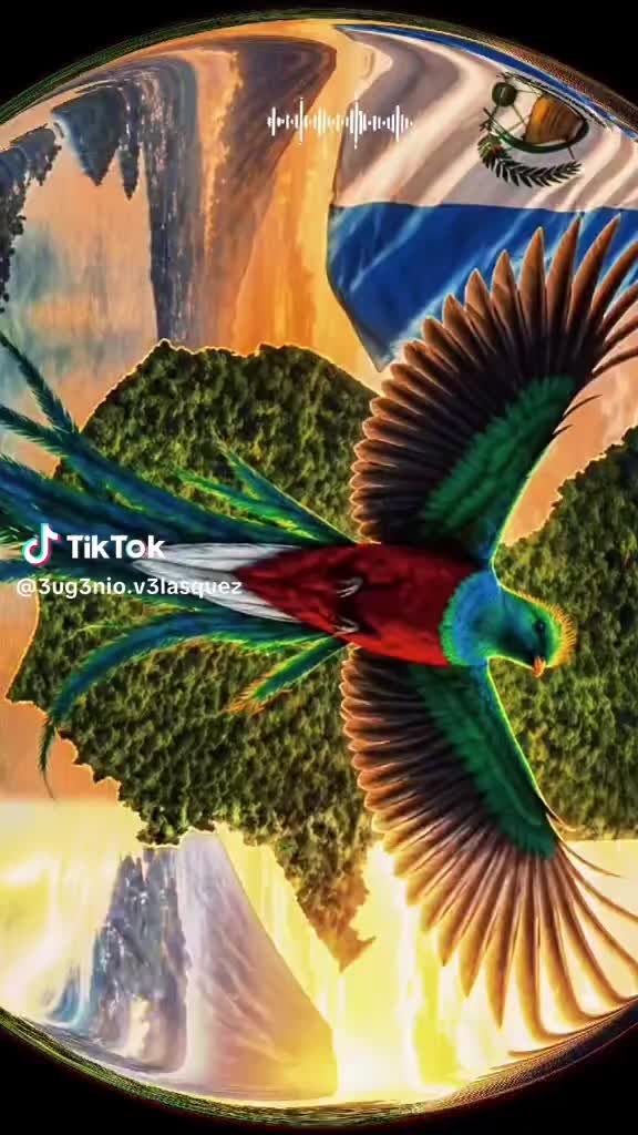 @Alexander