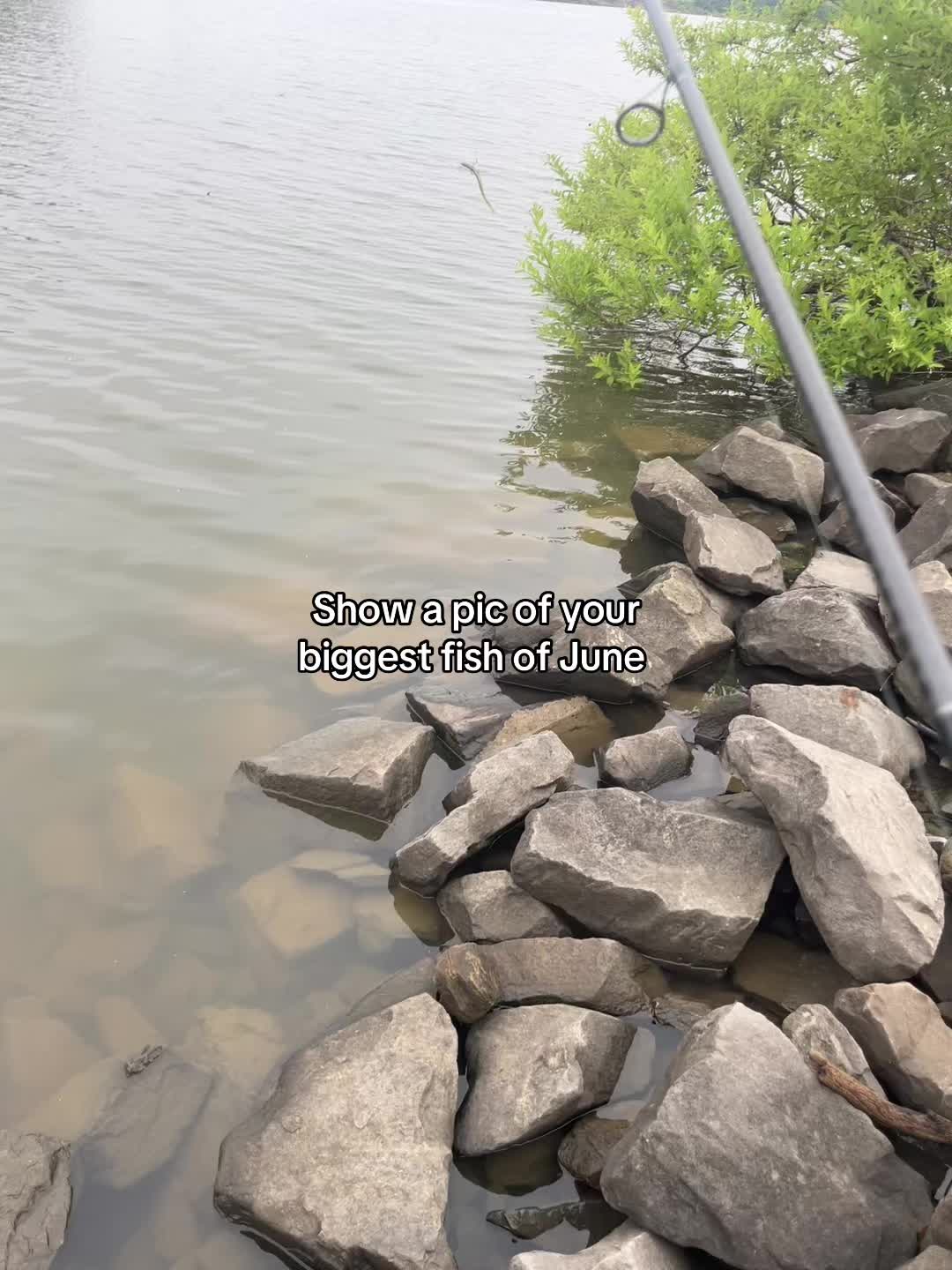 @Fk.Fishing