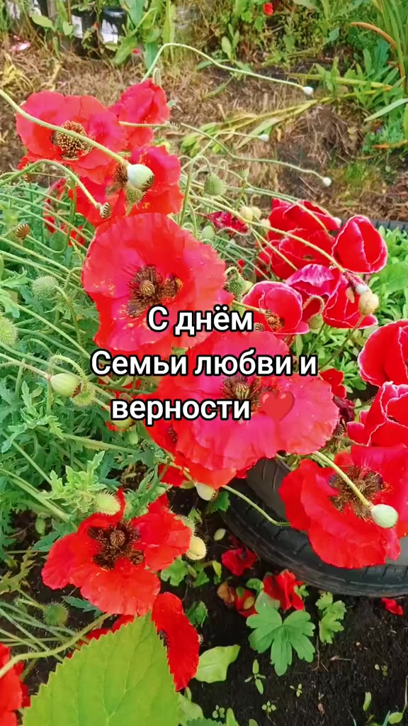 @Алёнушка