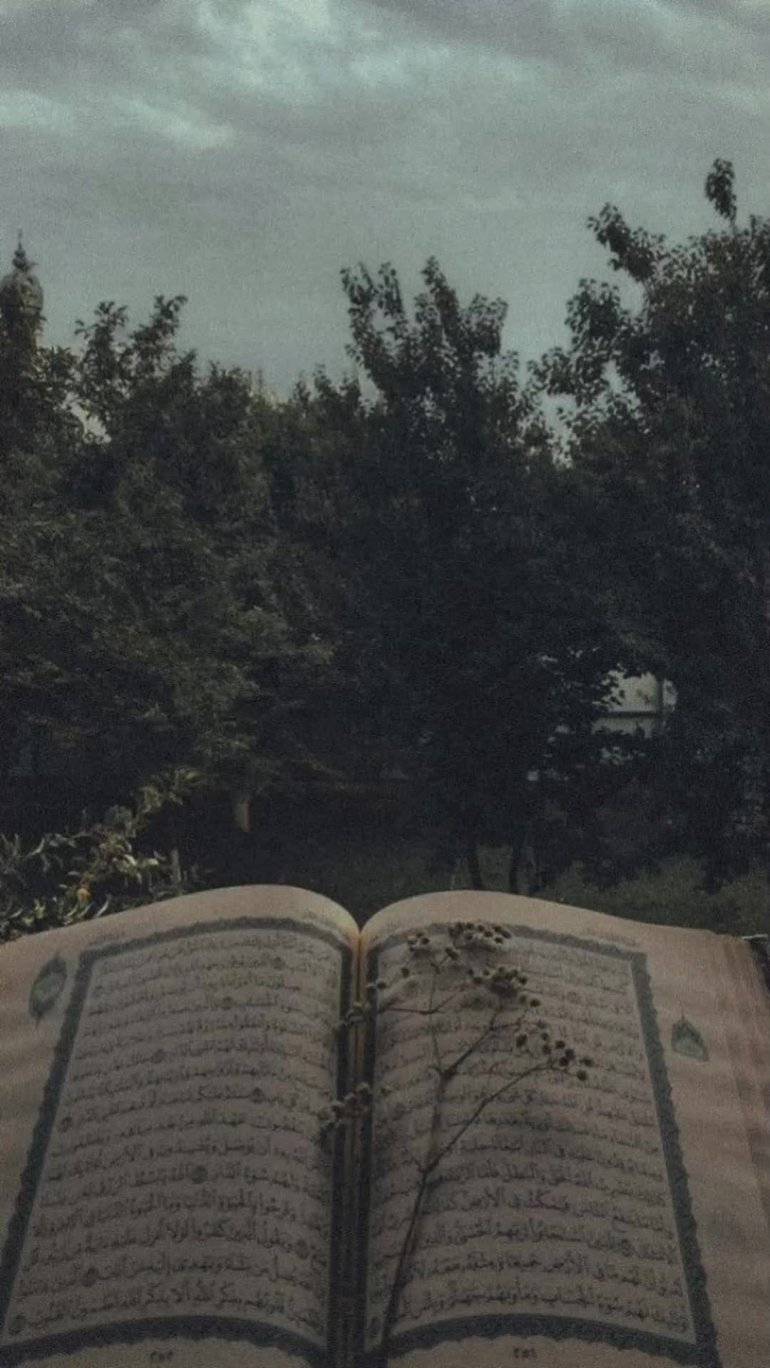 @💗Rana Asif Iqbal💗