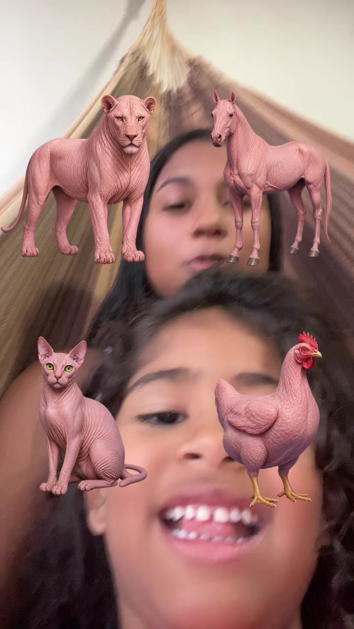 @Iara Arrais